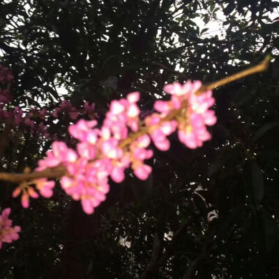 侵删