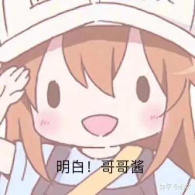 表情包