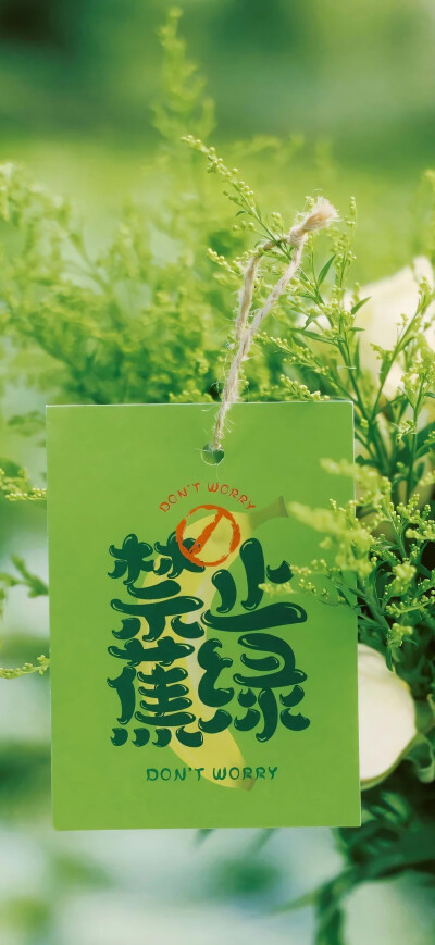 手机壁纸