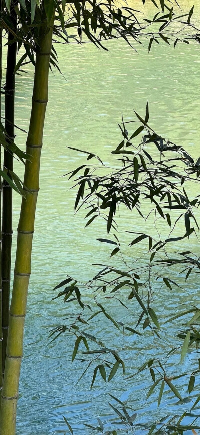 壁纸