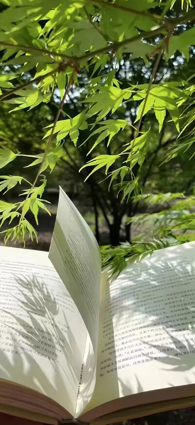 壁纸