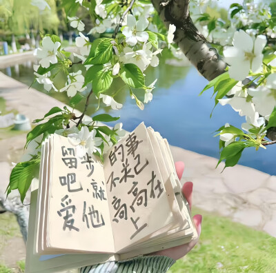 绿色系背景图