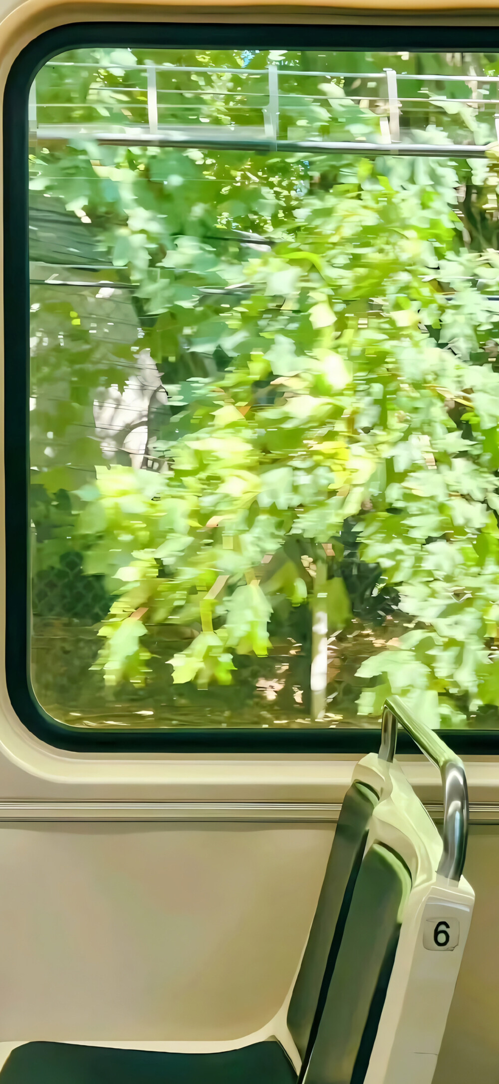 壁纸