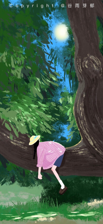 壁纸