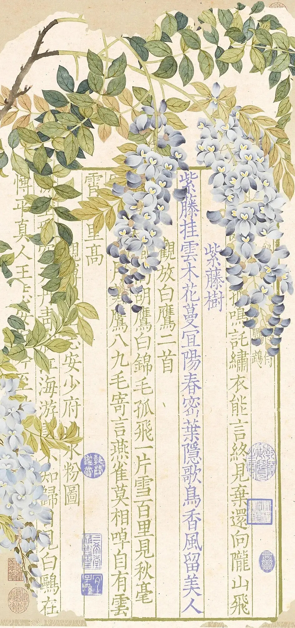 壁纸