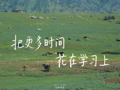 车载壁纸
