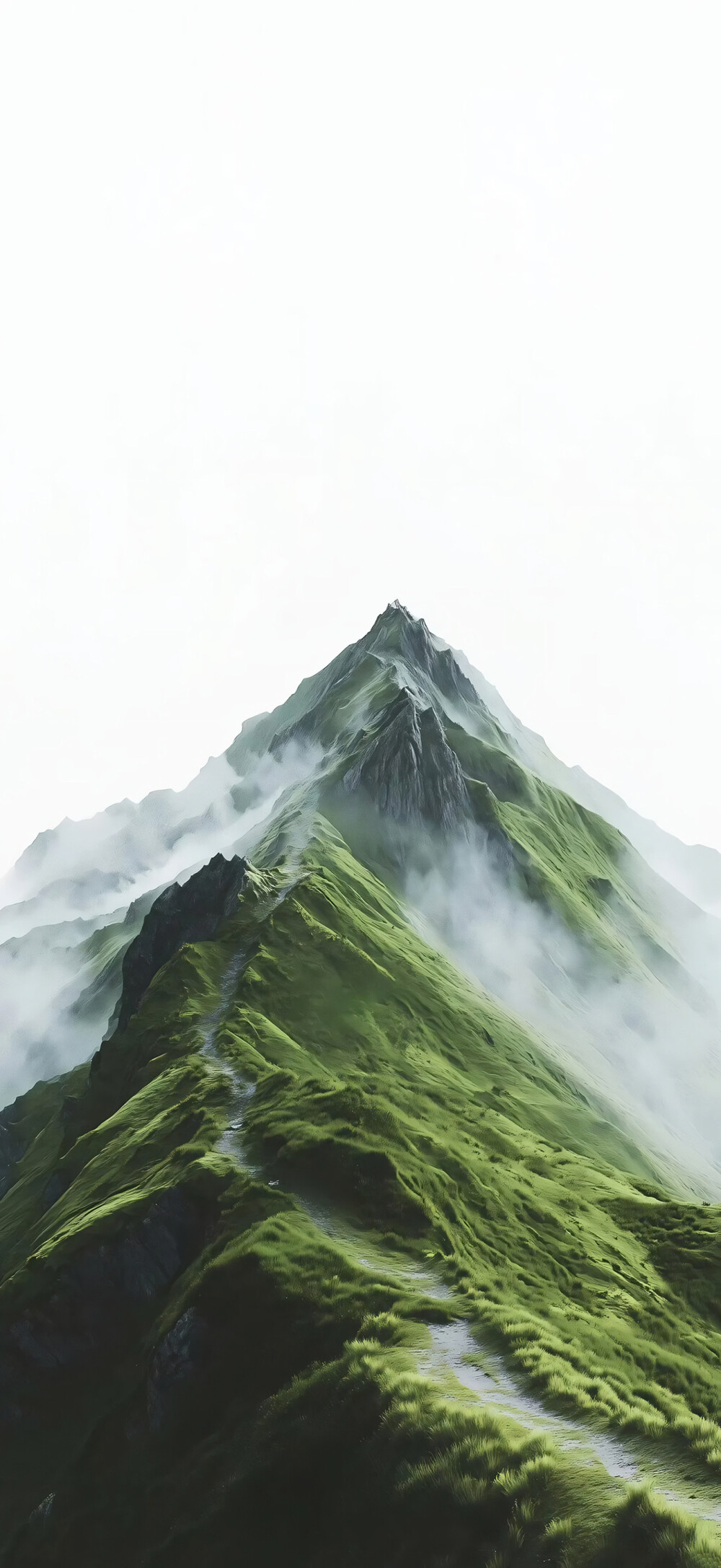 壁纸