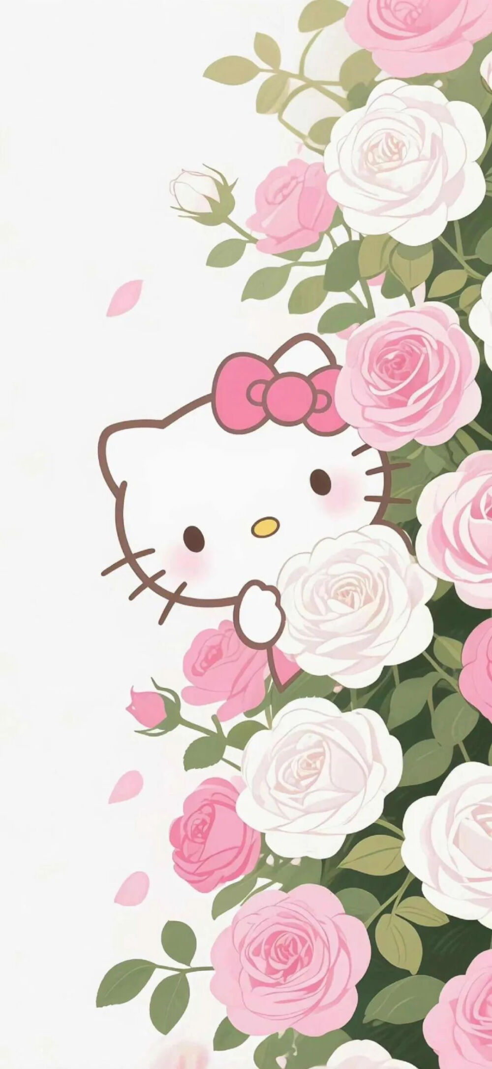 KT猫 壁纸 卡通 萌图