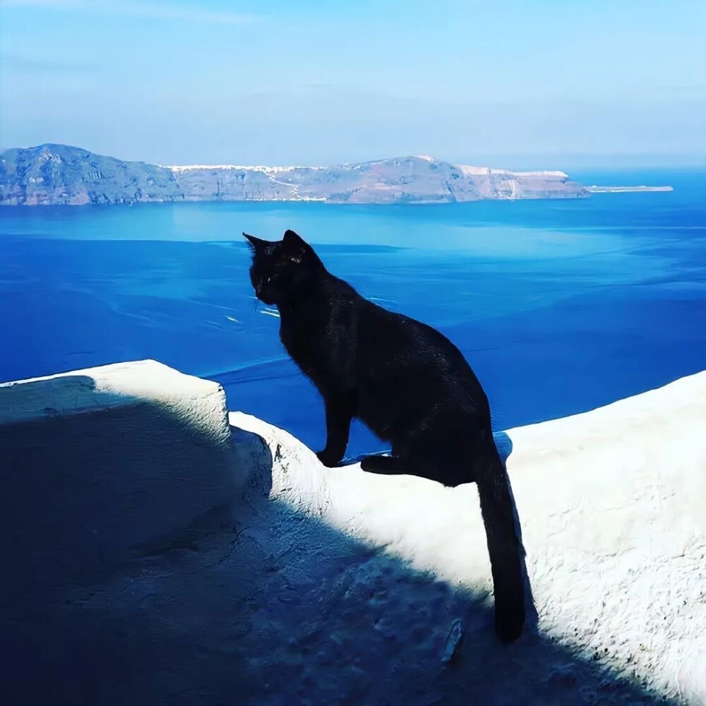 朋友圈背景图