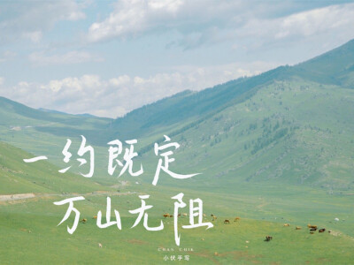 车载壁纸
