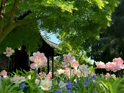 背景图