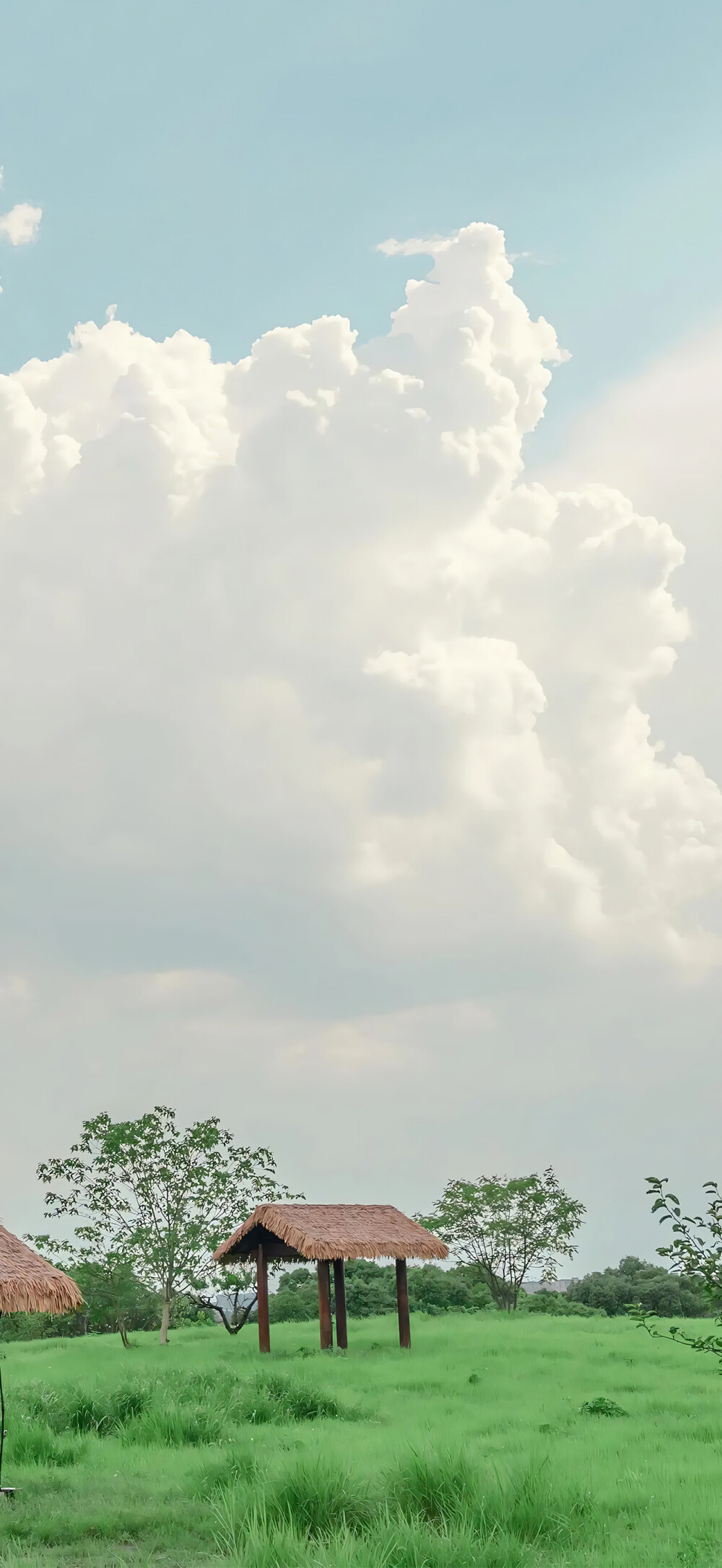 壁纸