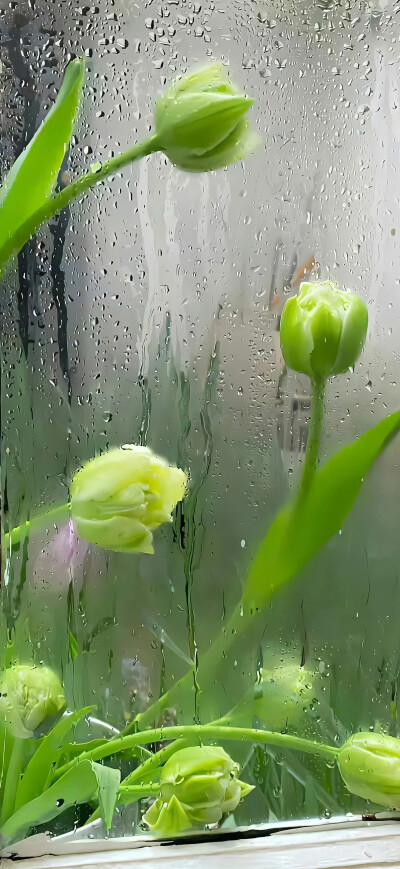 壁纸
