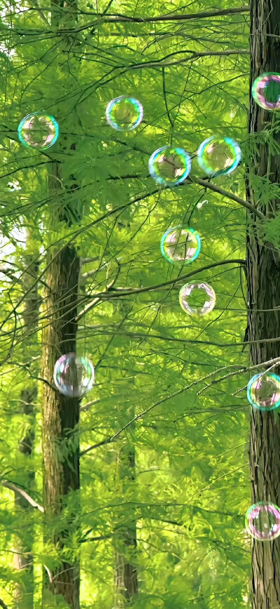 壁纸