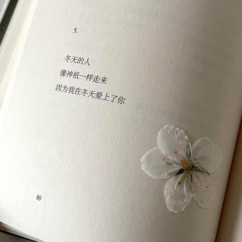 背景图