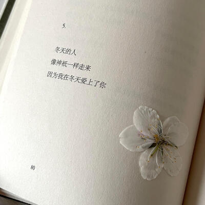 背景图