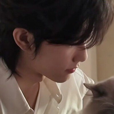 小猫和小猫