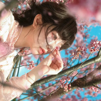 樱花女头
