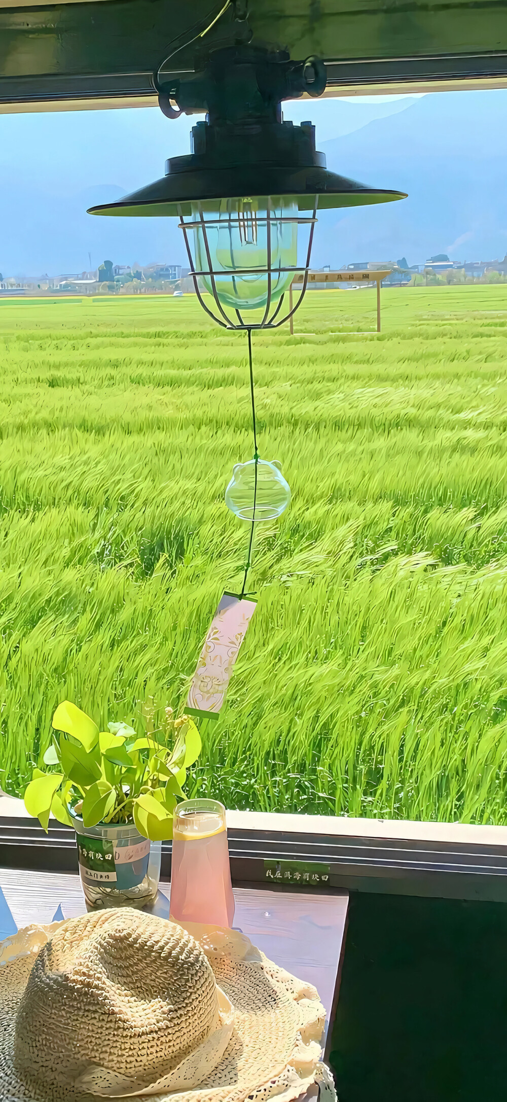 壁纸