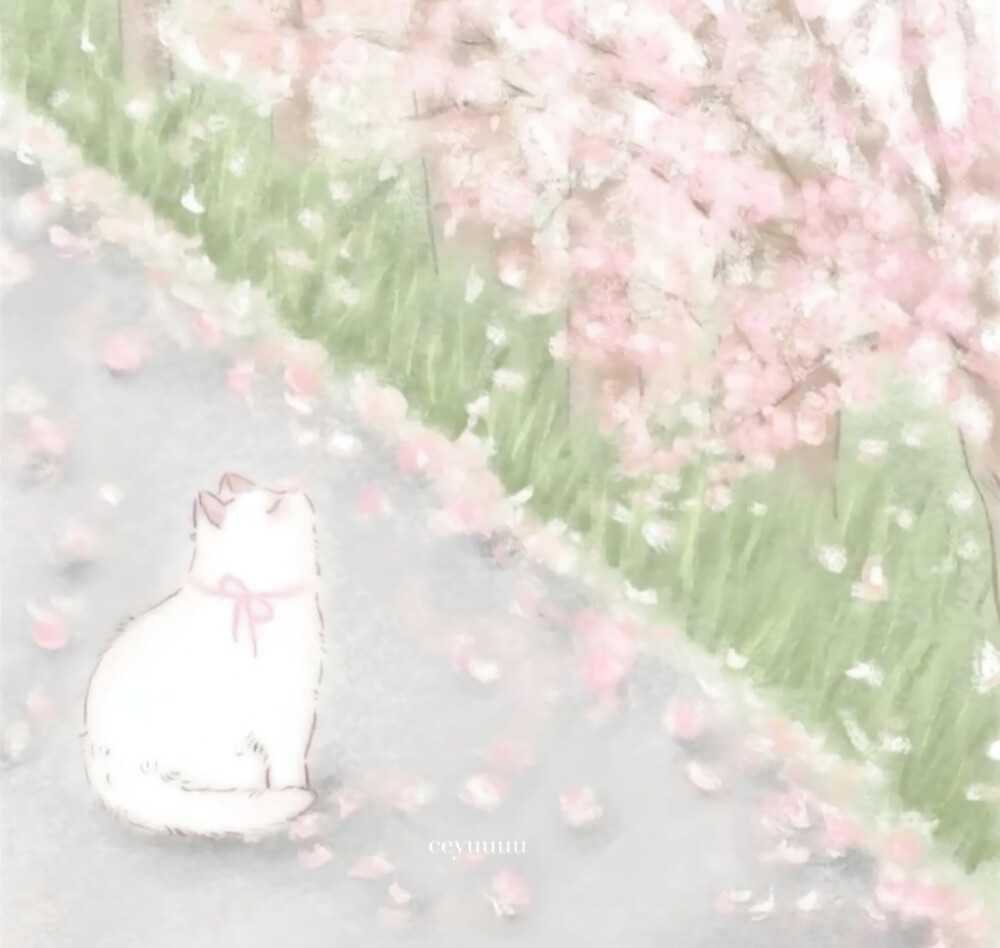 
今すぐ会いたい*落花/Fallin'Flower