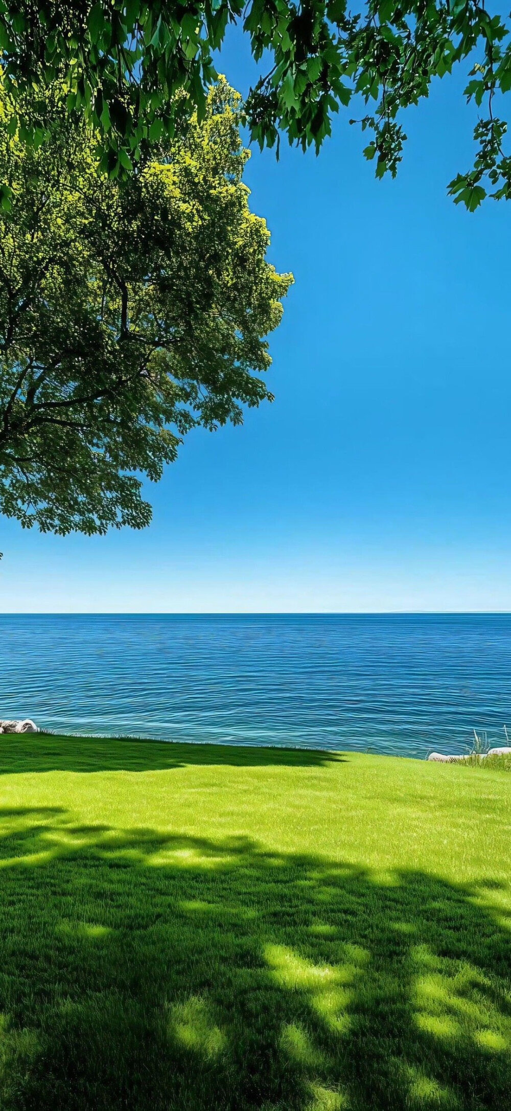 风景 壁纸 美图