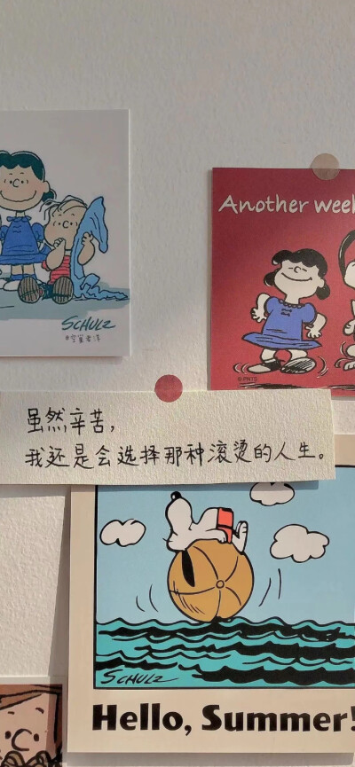 壁纸