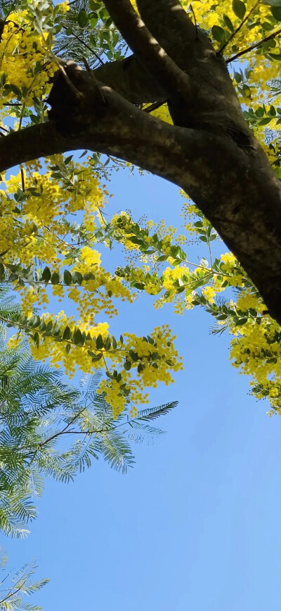 壁纸