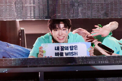 wish