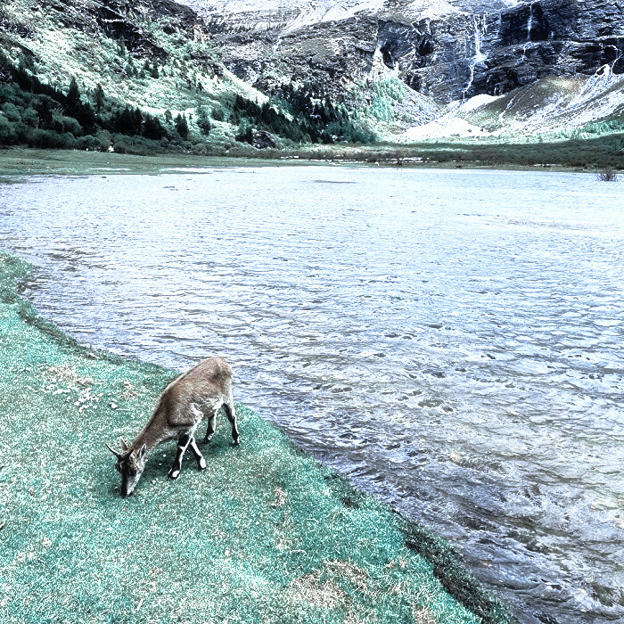 下辈子 我想成为你眼角的一颗痣