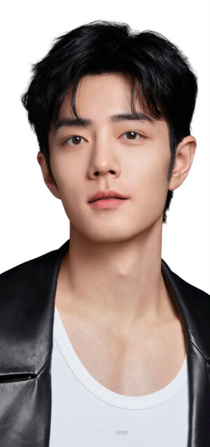 肖战】2022-2025代言- 堆糖