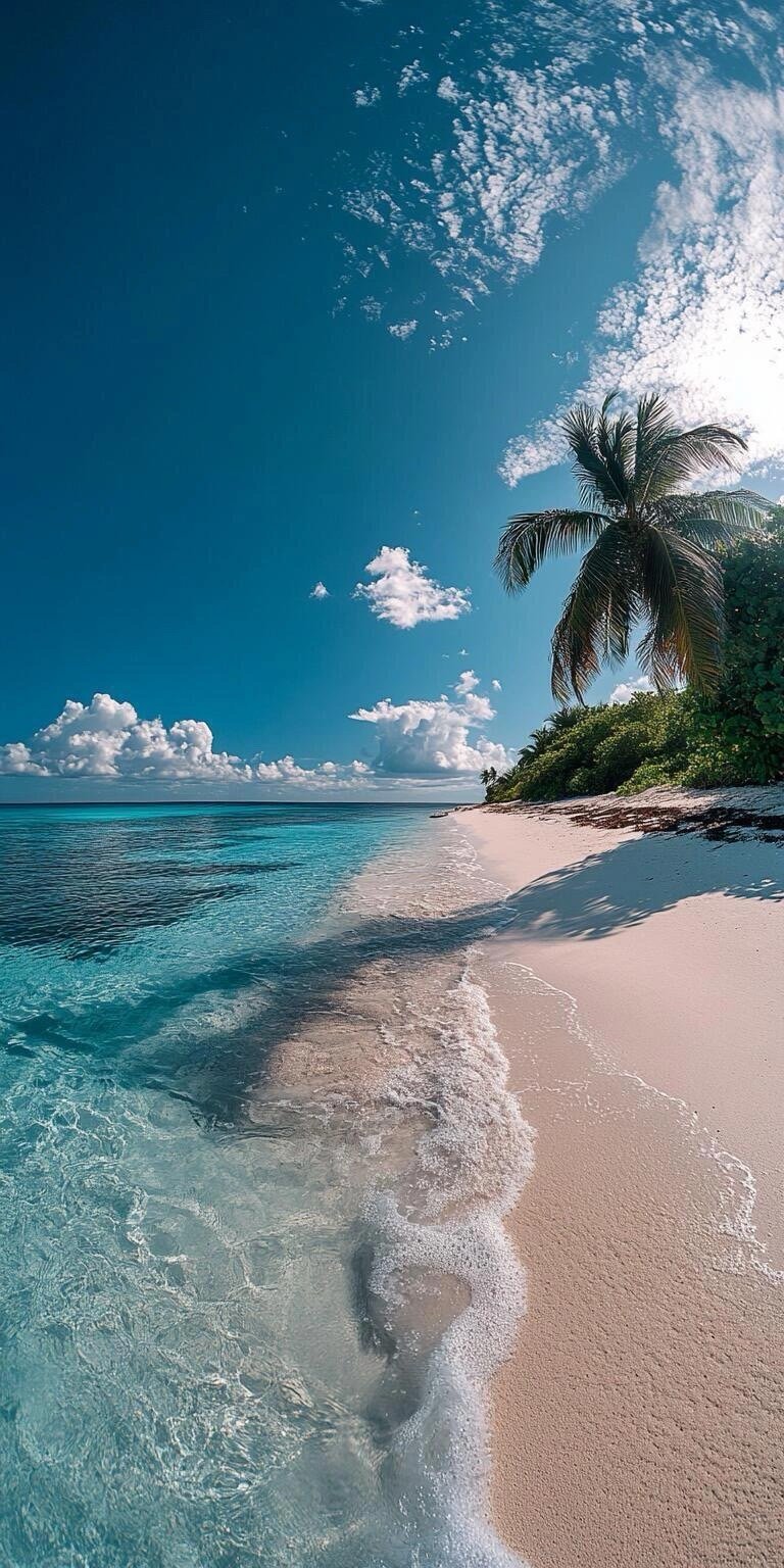 风景 壁纸 美图