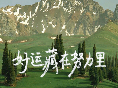 车载壁纸
