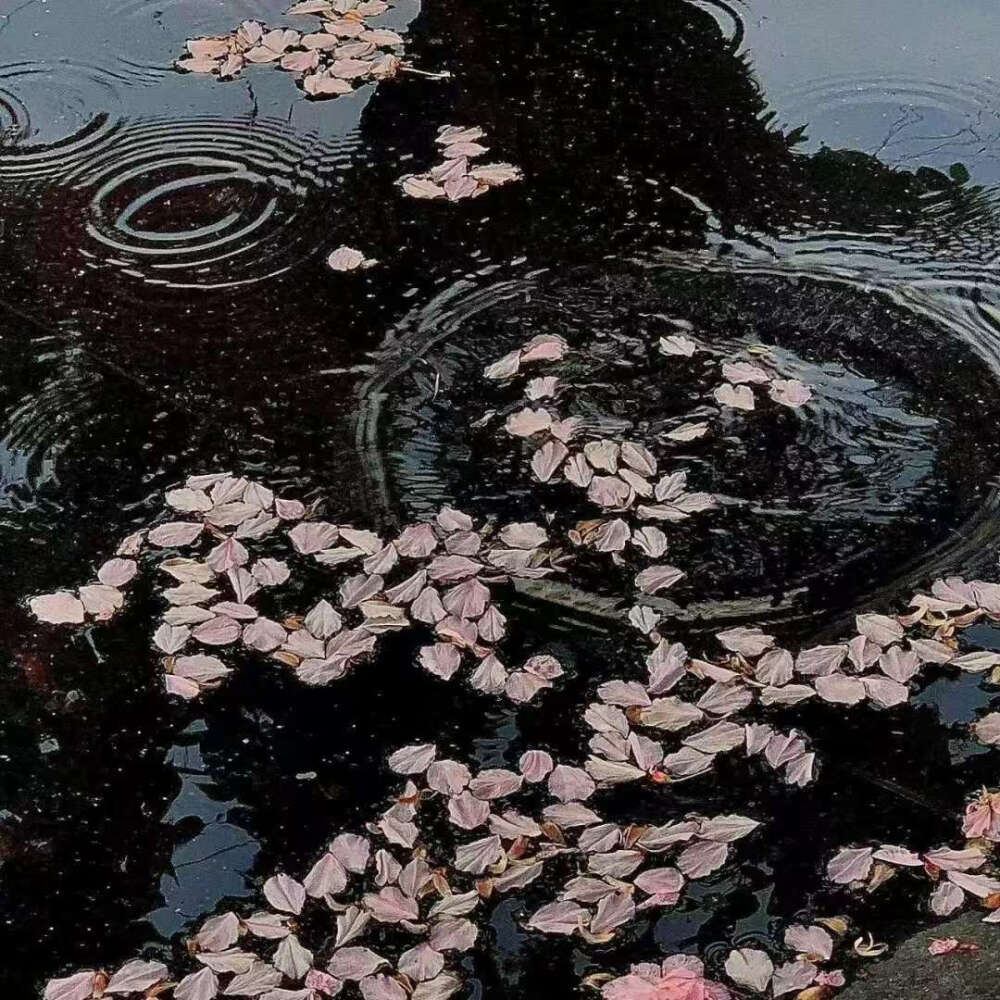 侵删