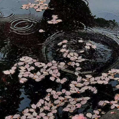 侵删