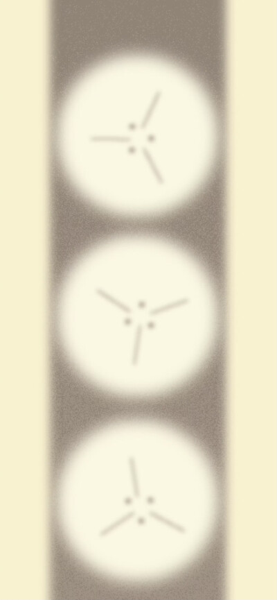 x壁纸