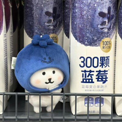 熊 变成水果＃自嘲熊