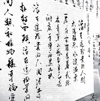 一句此生不换 招摇我百转千凡