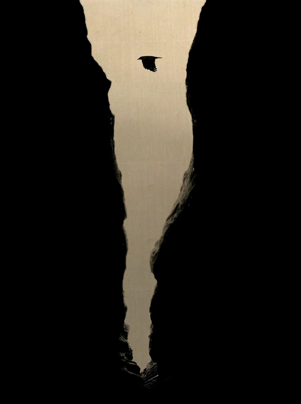 翔