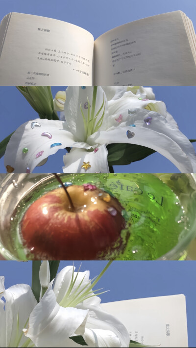 手机壁纸