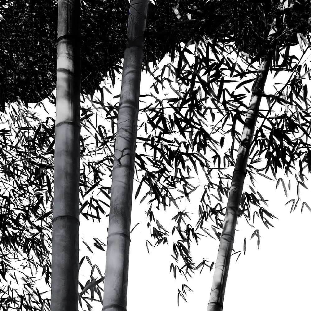 一句此生不换 招摇我百转千凡