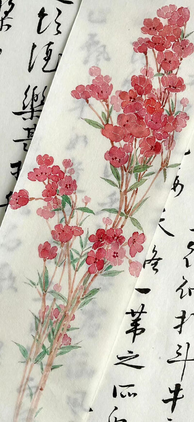花