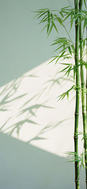清透壁纸，干净简约
