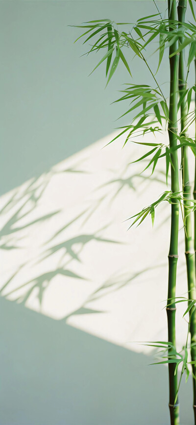 清透壁纸，干净简约
