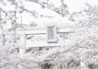 背景图