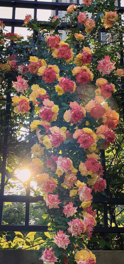 花