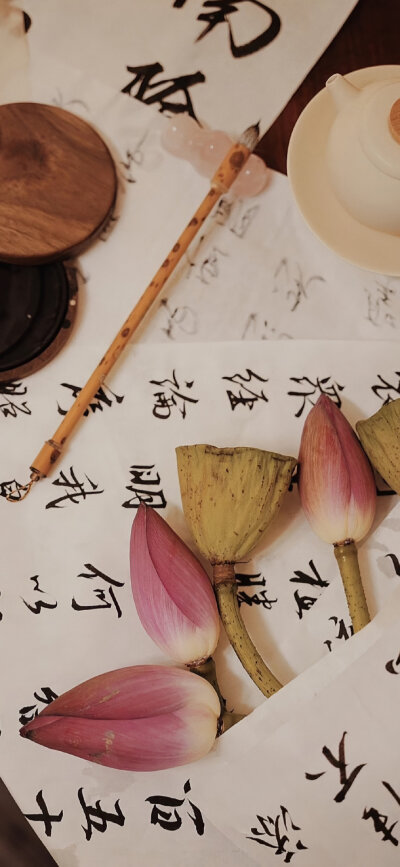 手机壁纸