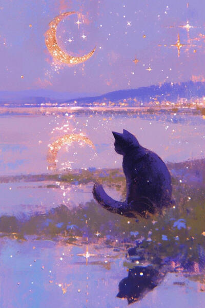 blingbling的猫