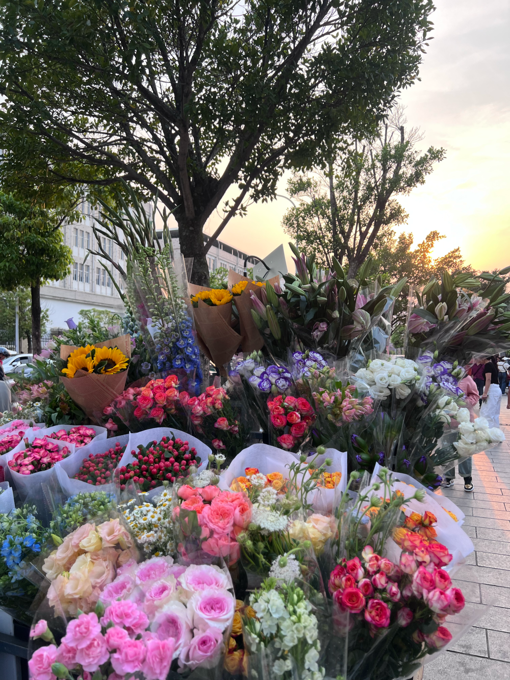 看见花花心情好