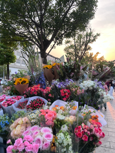 看见花花心情好
