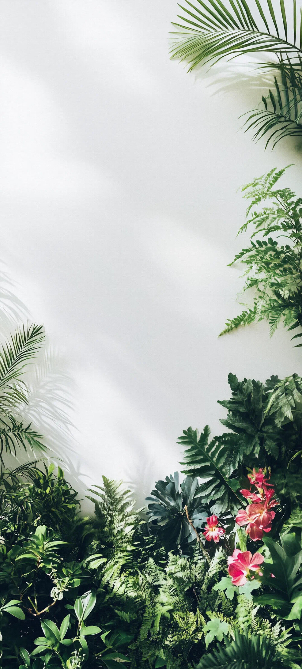 清透壁纸，干净简约
